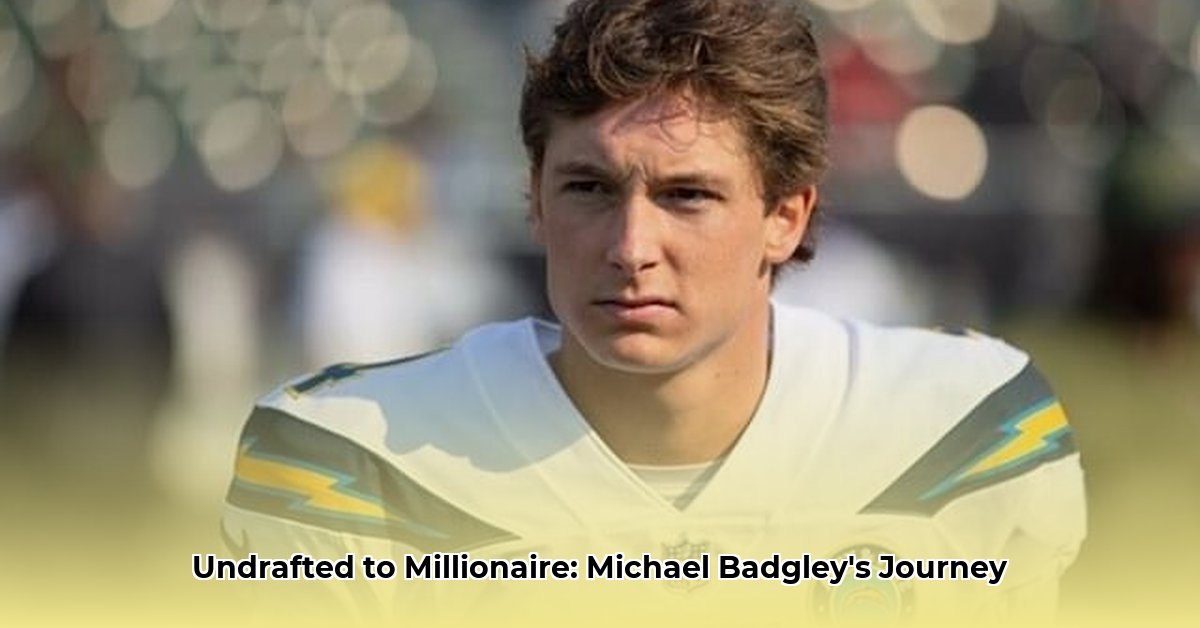 michael-badgley-net-worth